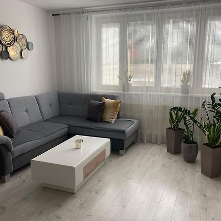 Apartman S Terasou, Bezplatne Parkovanie Lägenhet Bratislava Exteriör bild