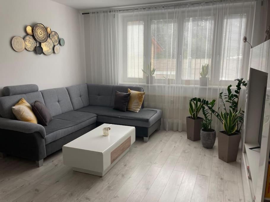 Apartman S Terasou, Bezplatne Parkovanie Lägenhet Bratislava Exteriör bild